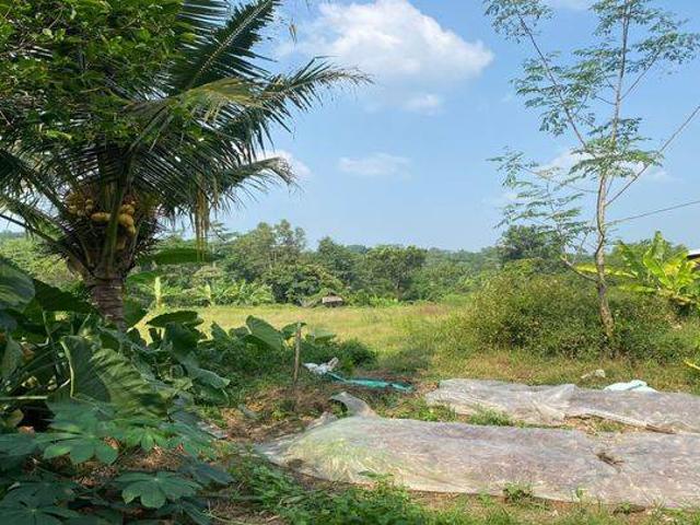 Tanah dijual di Rangkasbitung, Lebak