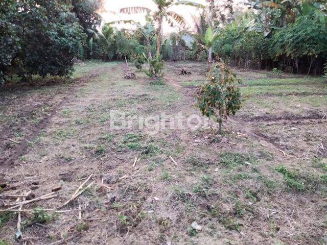 Tanah dijual di Rangkasbitung, Lebak