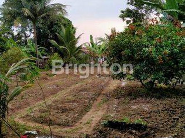 Tanah dijual di Rangkasbitung, Lebak