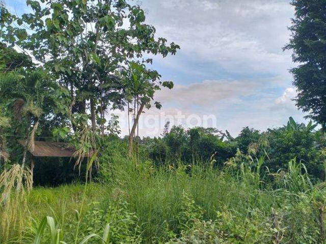 Tanah dijual di Samarinda Utara, Samarinda