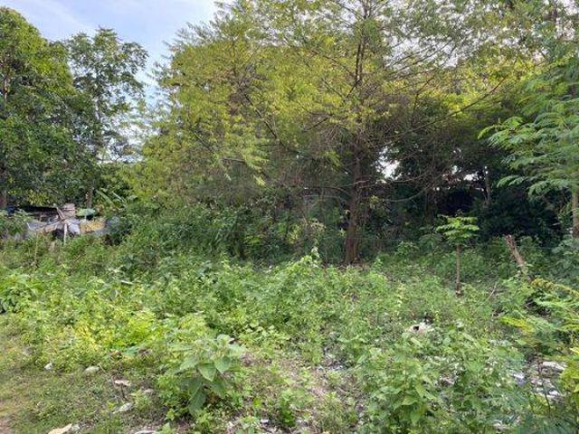 Tanah dijual di Seminyak, Badung