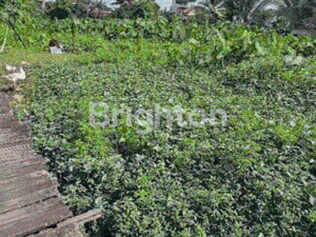 Tanah dijual di Sungai Kunjang, Samarinda