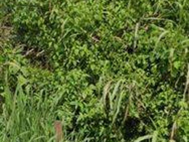 Tanah dijual di Sungai Kunjang, Samarinda