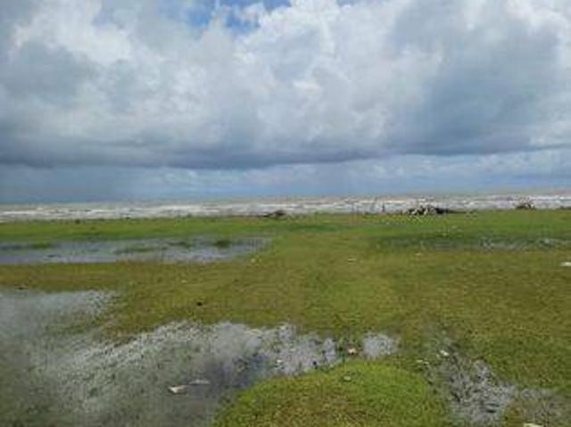Tanah dijual di Tanjung Lesung, Pandeglang