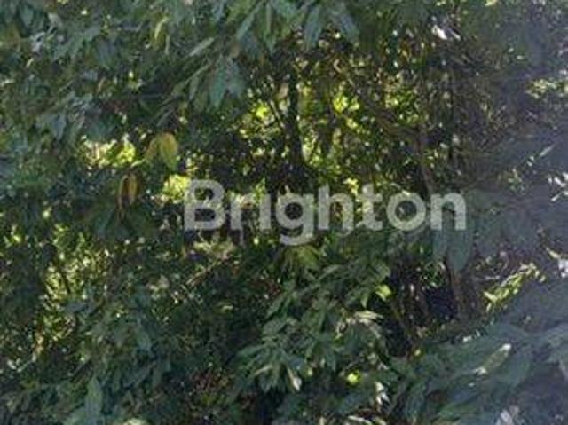 Tanah dijual di Ungasan, Badung