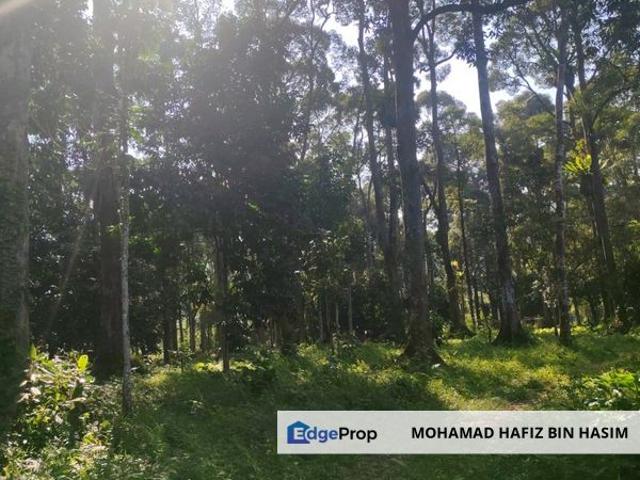 Shop for sale in Perak, Taiping