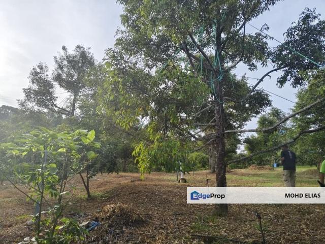 House for sale in Langkawi, Kedah