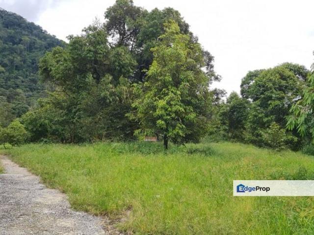 Shop for sale in Cameron Highlands, Pahang