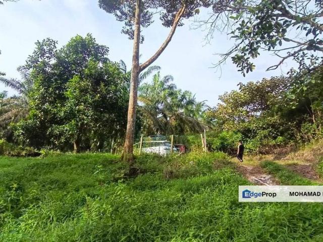 Shop for sale in Kulim, Kedah