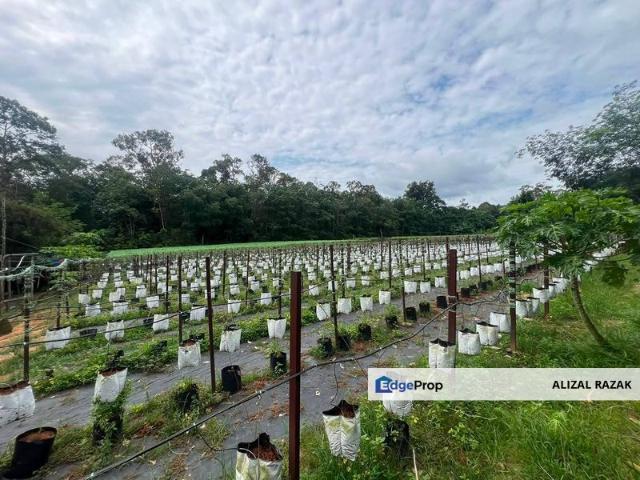 Shop for sale in Kajang, Langat