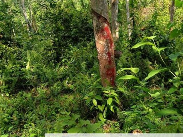 Shop for sale in Rembau, Negeri Sembilan