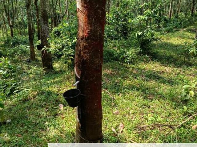 Shop for sale in Rembau, Negeri Sembilan