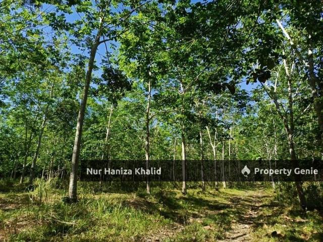 Property for sale in Kedah