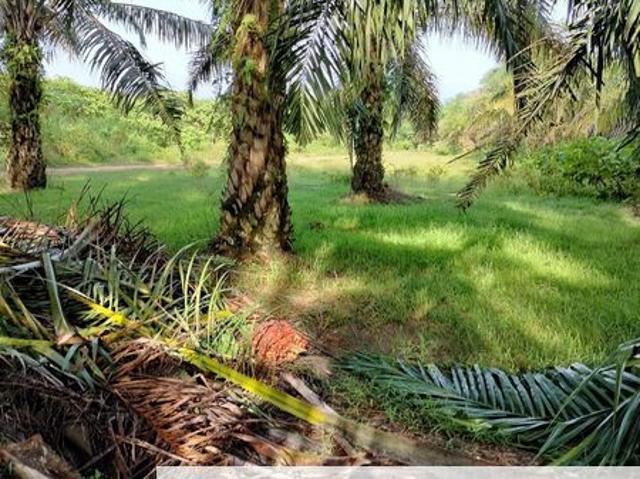 Shop for sale in Perak, Ayer Tawar