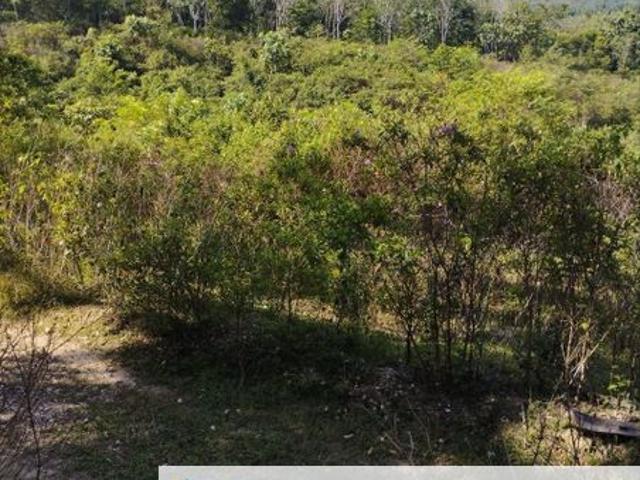 Shop for sale in Temerloh, Pahang