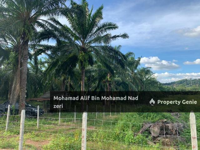 Property for sale in Perlis