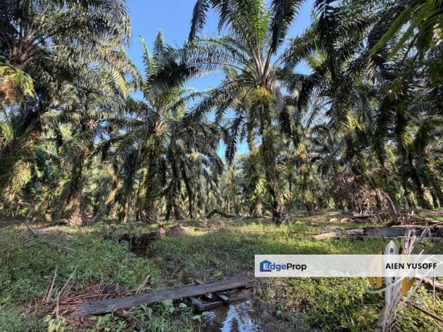 Shop for sale in Kulim, Kedah