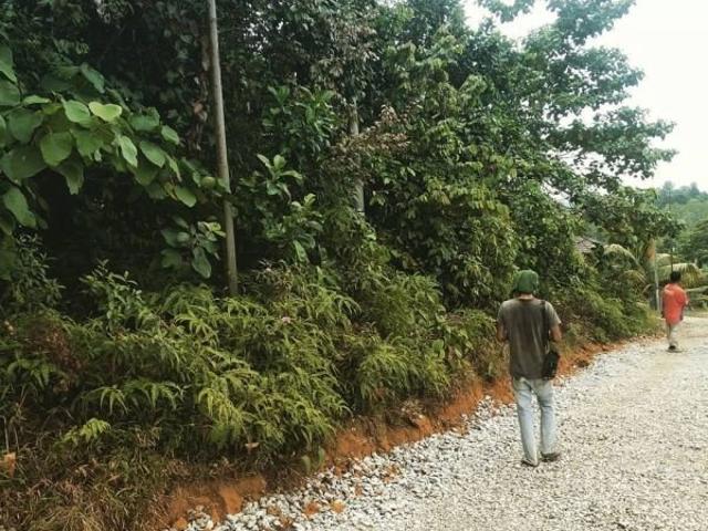 Property for sale in Petaling, Alam Impian