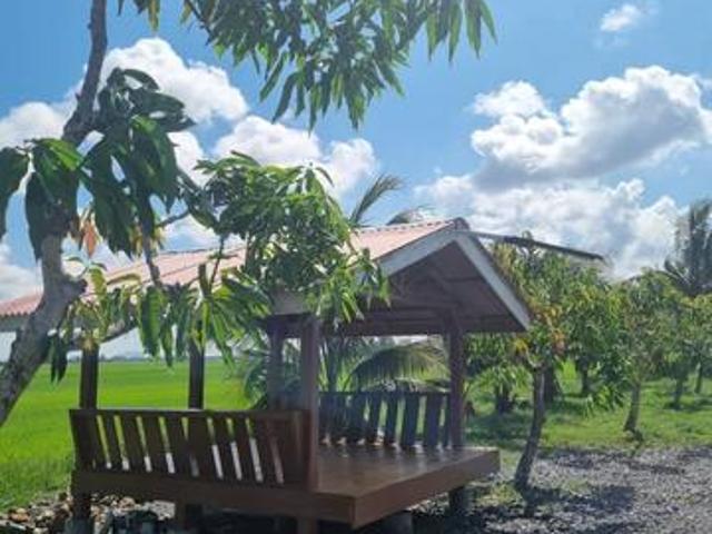 Property for sale in Wellesley, Penang