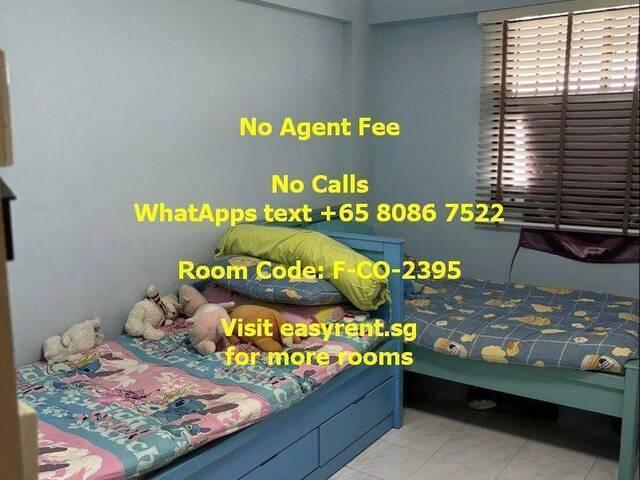 Room for rent