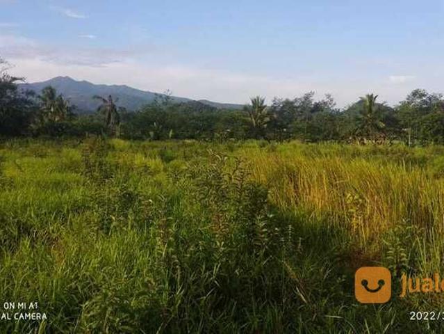 Tanah dijual di Lebak