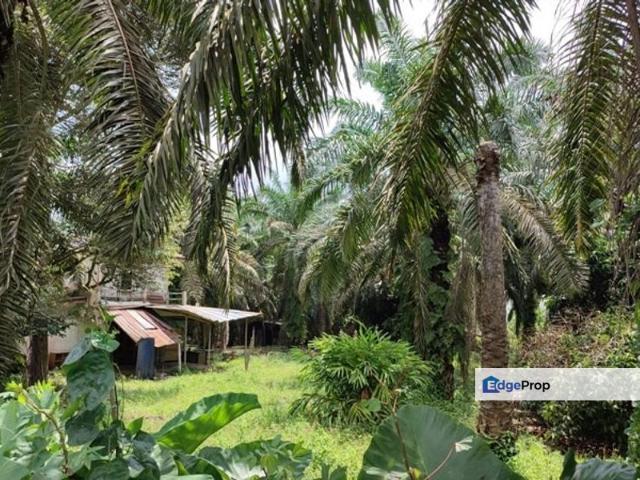 Shop for sale in Paloh, Kluang