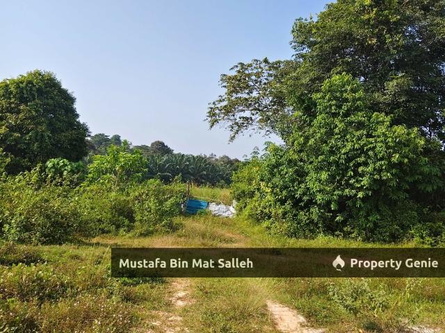 Property for sale in Kulim, Kedah