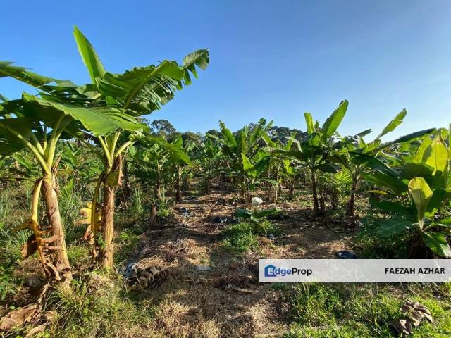 Shop for sale in Rengam, Johor
