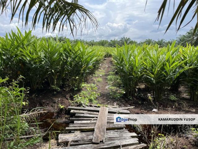 Shop for sale in Tanjong Sepat, Selangor