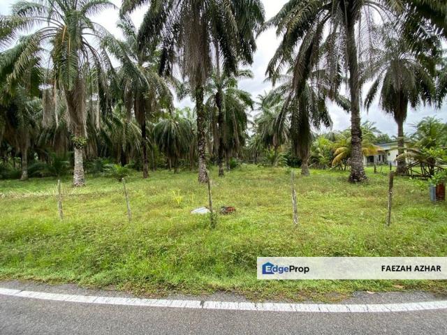 Shop for sale in Mersing, Johor