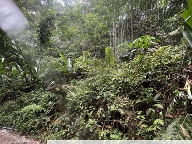 House for sale in Kajang, Langat