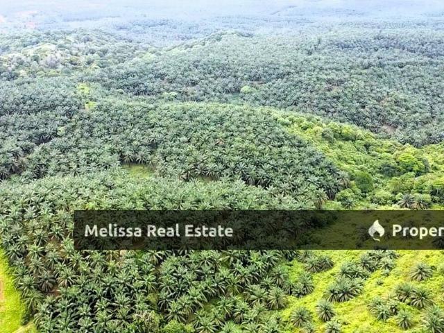 Property for sale in Tringganu