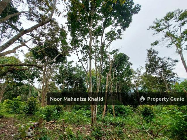 Property for sale in Pilah, Ibol