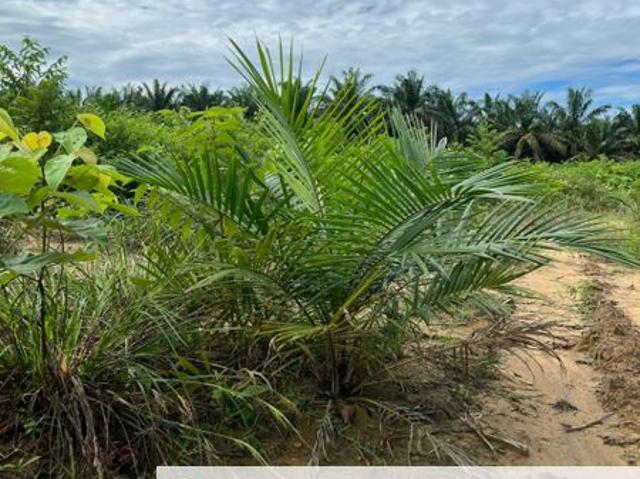 Shop for sale in Bandar Baharu, Kedah