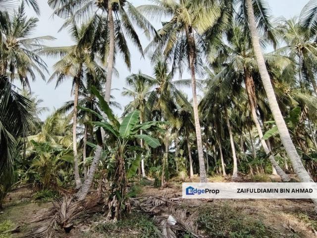 Shop for sale in Sabak Bernam, Selangor