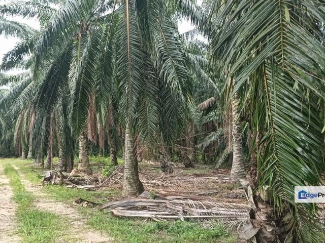 Shop for sale in Malaka