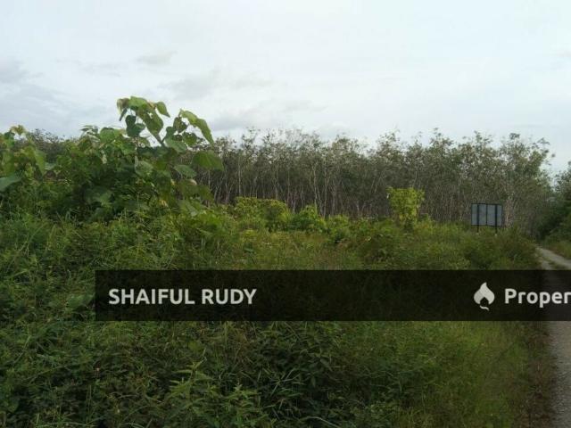 Property for sale in Temerloh, Pahang