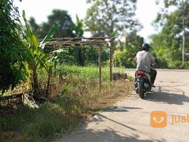 Tanah dijual di Lebak