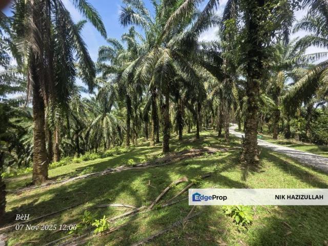 Shop for sale in Kuala Lipis, Pahang