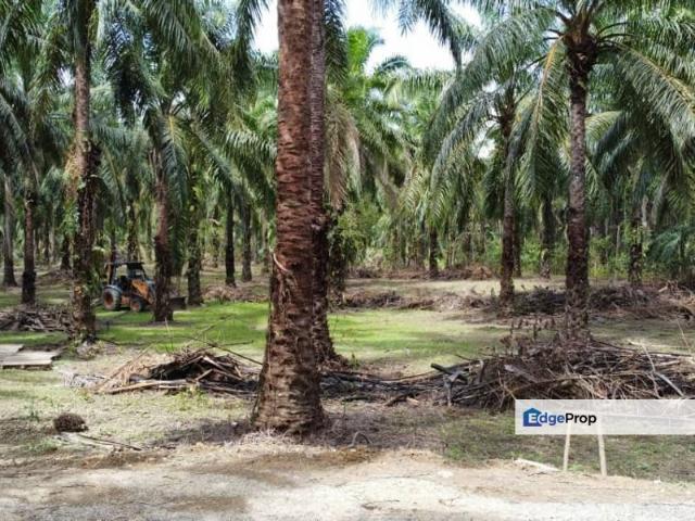 Shop for sale in Tringganu