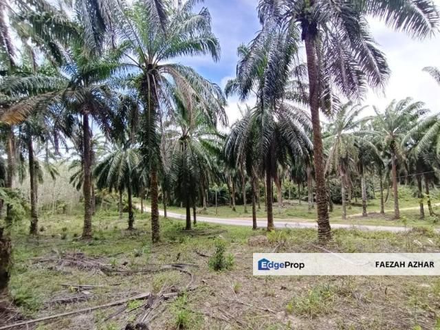 Shop for sale in Mersing, Johor