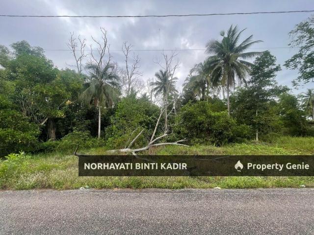 Property for sale in Pahang