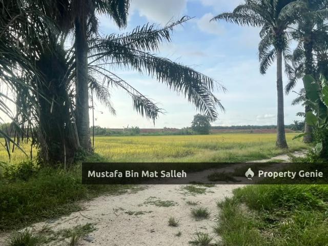 Property for sale in Nusacinta, Tasek Gelugor