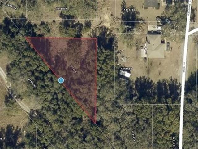 Land for sale in Yalaha, Lake County