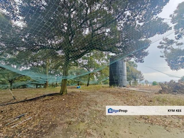 Shop for sale in Tangkak, Johor