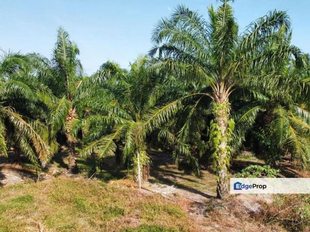 Shop for sale in Kuala Selangor, Selangor