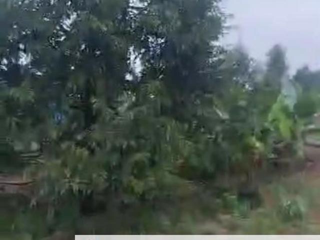 Shop for sale in Bukit Ledang, Johor