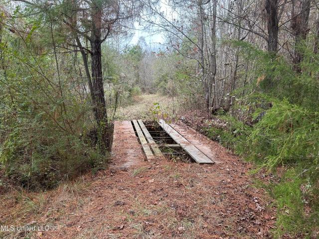 Land for sale in Crystal Springs, Mississippi