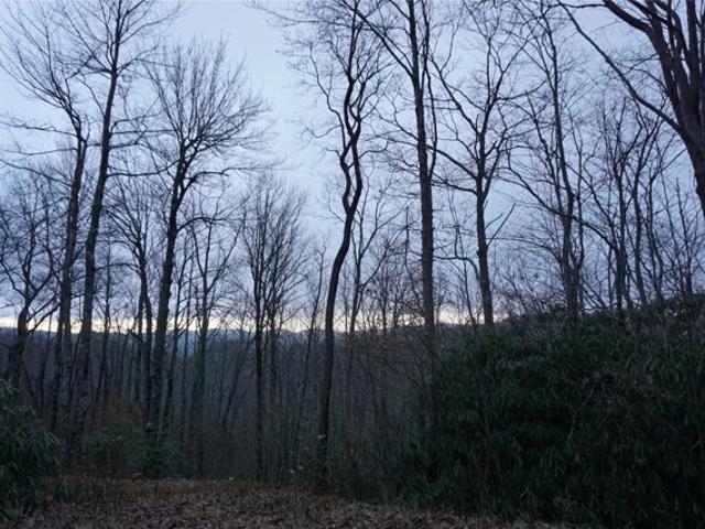 House for sale in Highlands, North Carolina