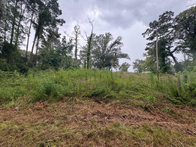 Land for sale in Converse